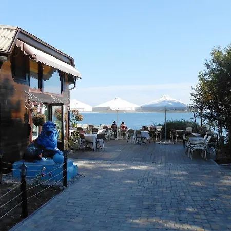Arcadia Marine Studio